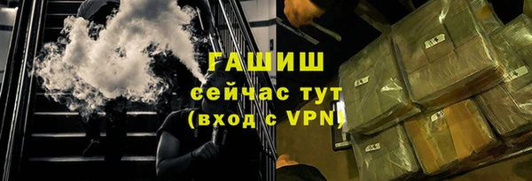 прущие грибы Аркадак