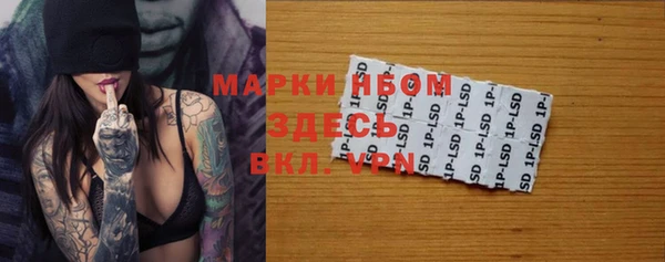 прущие грибы Аркадак
