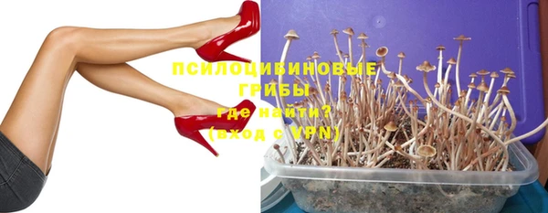 mdpv Арсеньев
