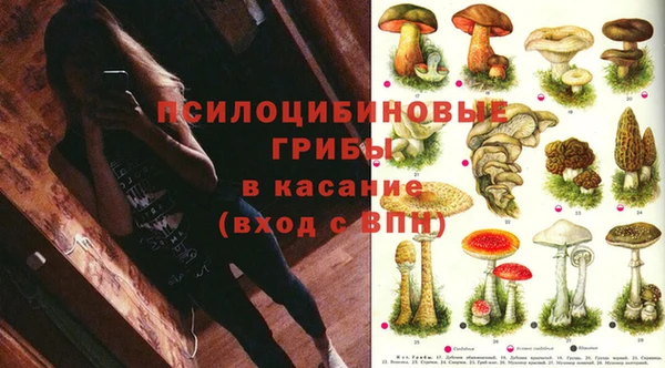 mdpv Арсеньев