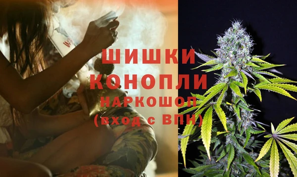 прущие грибы Аркадак