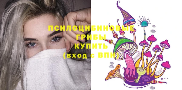 прущие грибы Аркадак