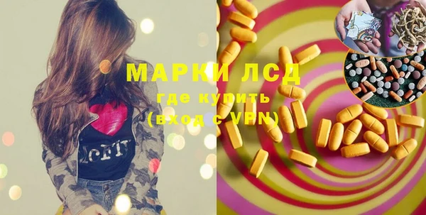 прущие грибы Аркадак