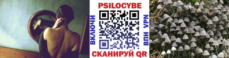 наркотики  Похвистнево  Псилоцибиновые грибы мицелий 